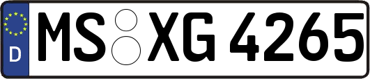 MS-XG4265