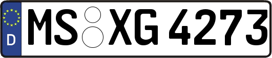 MS-XG4273