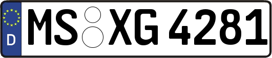 MS-XG4281