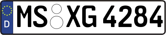 MS-XG4284