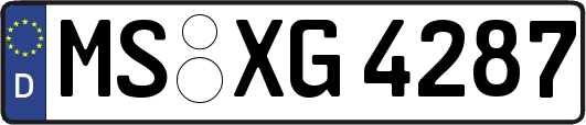 MS-XG4287