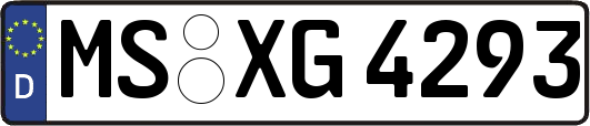 MS-XG4293