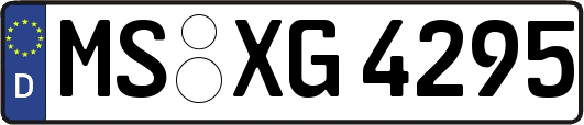 MS-XG4295