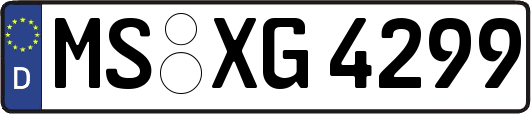 MS-XG4299