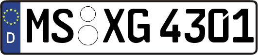 MS-XG4301