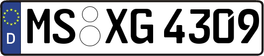 MS-XG4309