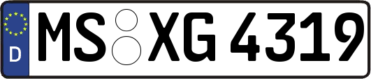 MS-XG4319