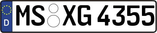 MS-XG4355