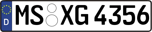 MS-XG4356