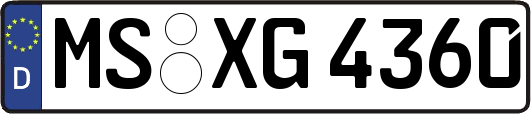 MS-XG4360