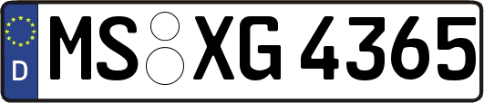 MS-XG4365