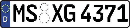MS-XG4371