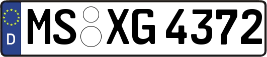 MS-XG4372