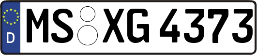 MS-XG4373
