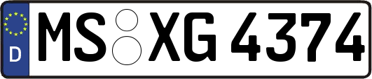 MS-XG4374
