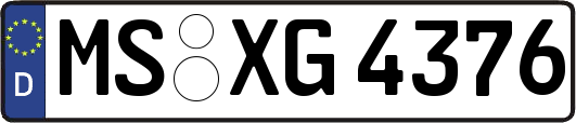 MS-XG4376