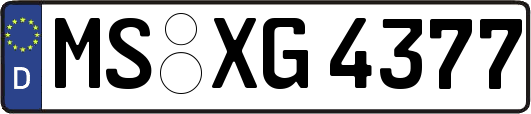 MS-XG4377
