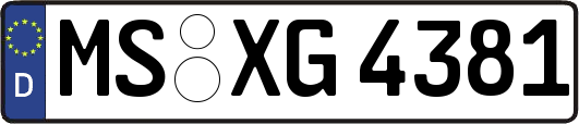 MS-XG4381