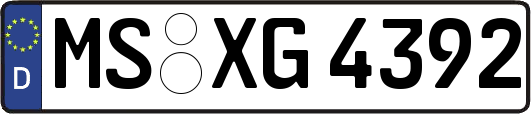 MS-XG4392