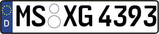 MS-XG4393