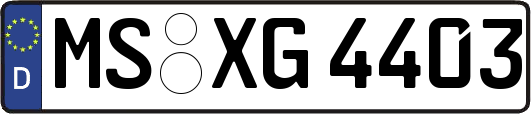 MS-XG4403