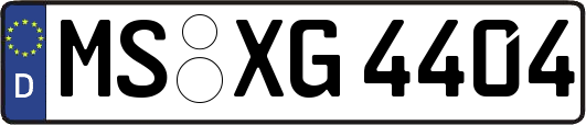 MS-XG4404