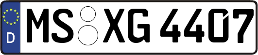MS-XG4407