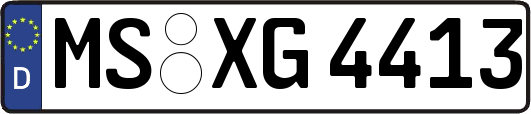 MS-XG4413