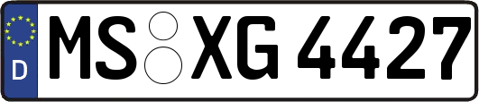MS-XG4427