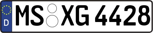 MS-XG4428