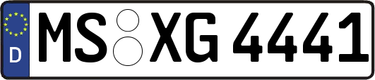 MS-XG4441