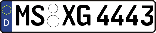 MS-XG4443