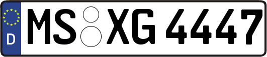 MS-XG4447