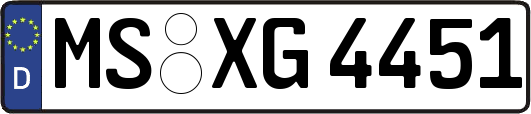 MS-XG4451
