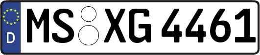 MS-XG4461