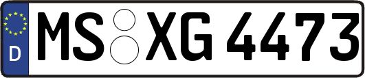 MS-XG4473