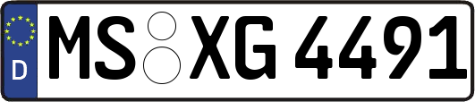 MS-XG4491
