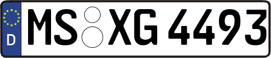 MS-XG4493