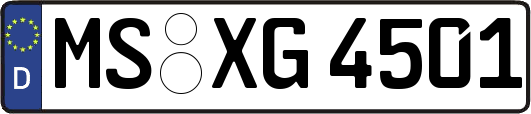 MS-XG4501