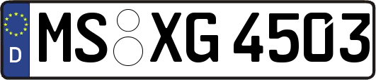 MS-XG4503