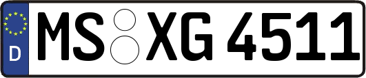 MS-XG4511
