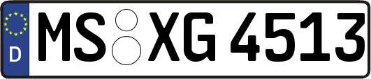 MS-XG4513