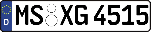MS-XG4515