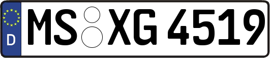MS-XG4519