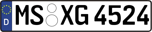 MS-XG4524