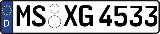 MS-XG4533
