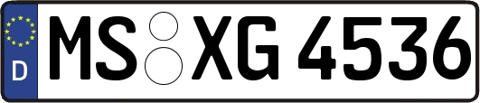 MS-XG4536