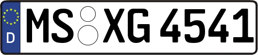MS-XG4541
