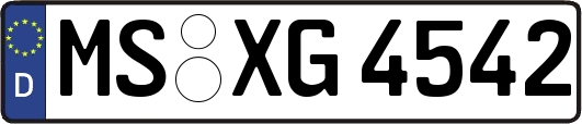 MS-XG4542
