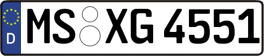 MS-XG4551